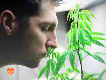 Детоксикация от марихуаны в Абатском